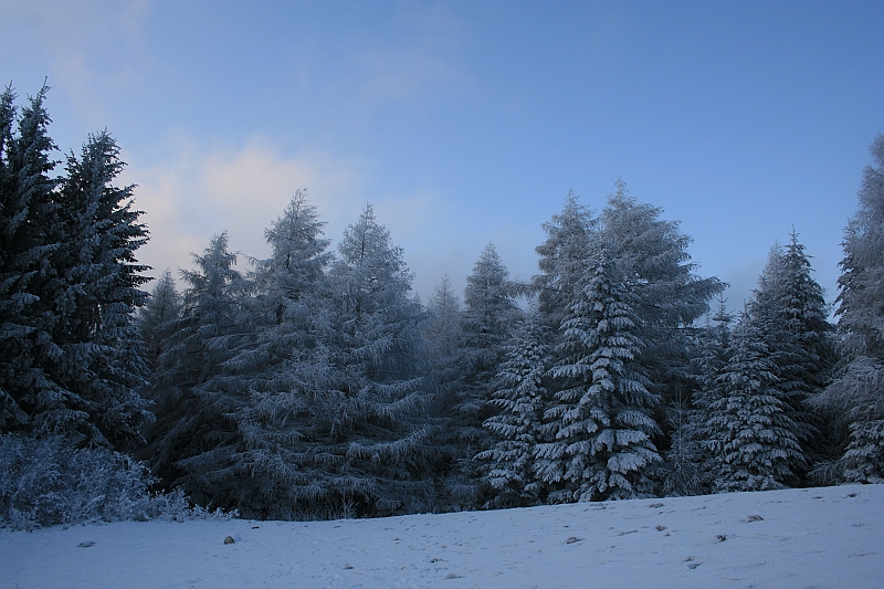 Bieszczady 12.2007 056